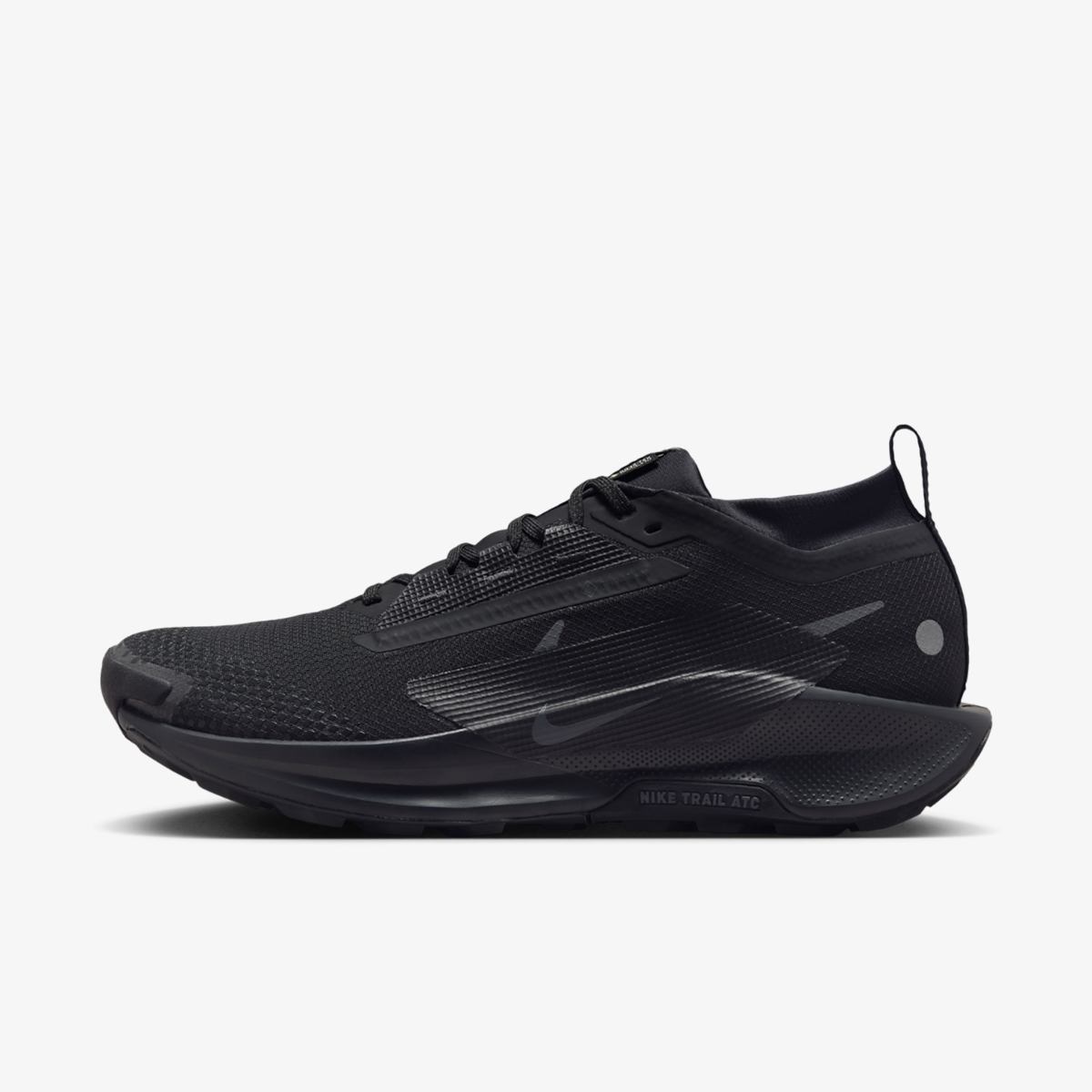 ЧОЛОВІЧІ КРОСІВКИ NIKE PEGASUS TRAIL 5 GTX (FQ0908-002)