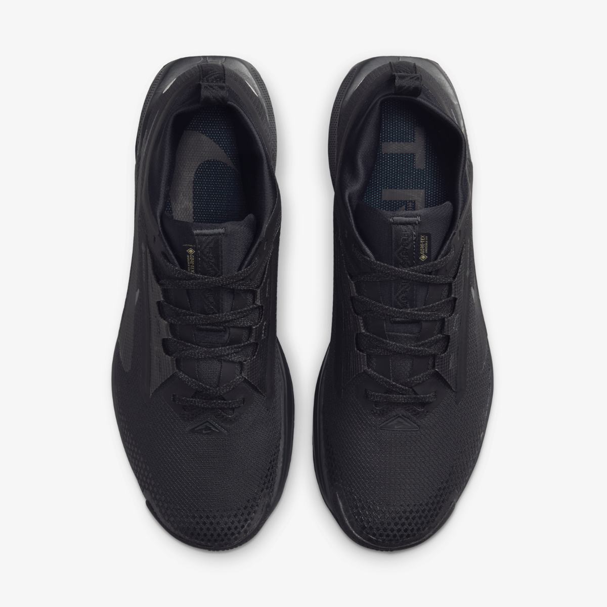 МУЖСКИЕ КРОССОВКИ NIKE PEGASUS TRAIL 5 GTX (FQ0908-002)
