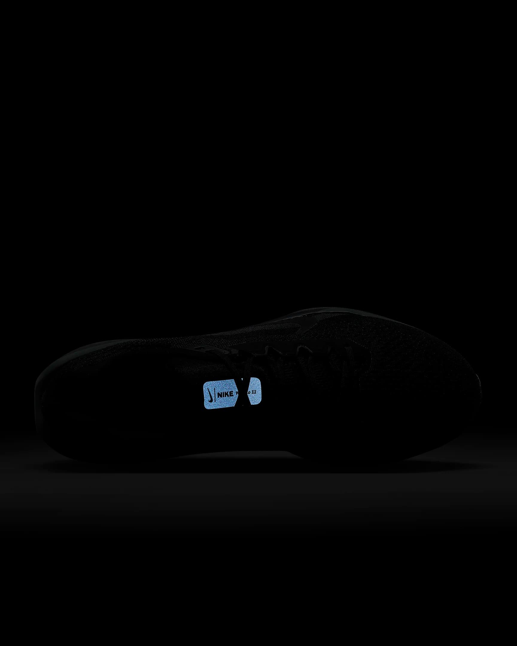 МУЖСКИЕ КРОССОВКИ NIKE AIR WINFLO 11 (FJ9509-002)