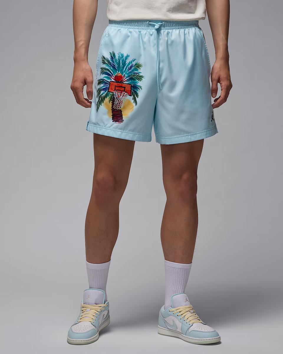 МУЖСКИЕ ШОРТЫ JORDAN ESS SMR PK LBR NY SHORT (IB7276-474)