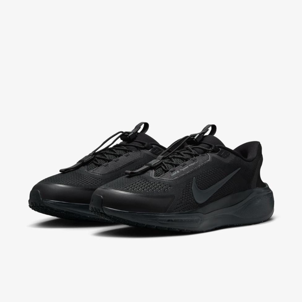 ЧОЛОВІЧІ КРОСІВКИ NIKE PEGASUS EASYON (FQ7837-001)